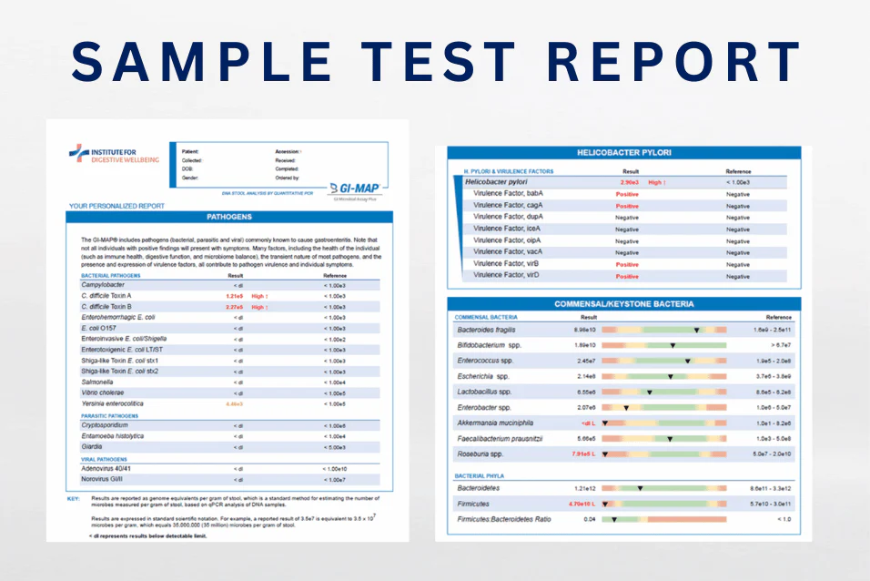 GI-MAP® Comprehensive Stool Analysis - Image 4
